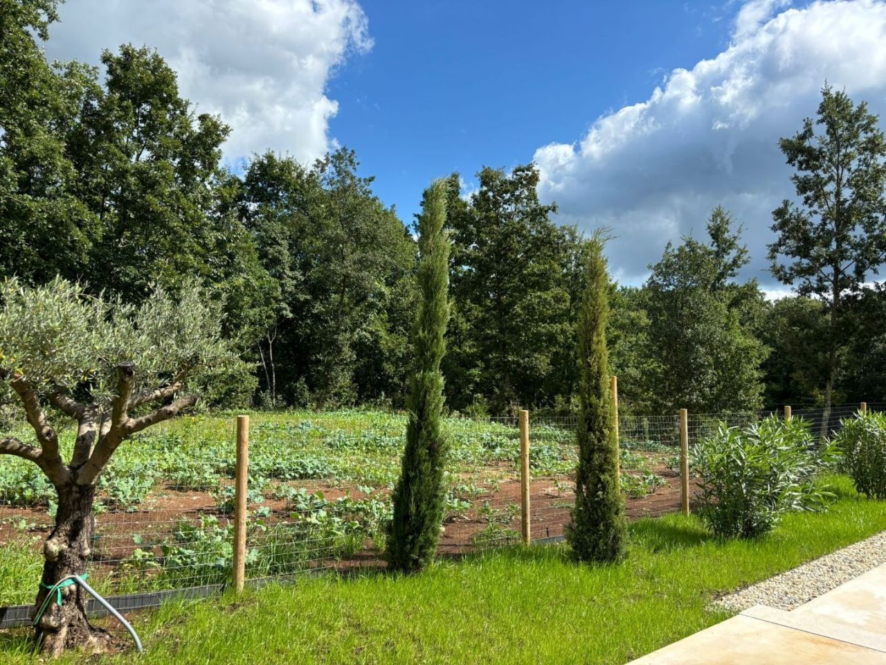 Вилла Pazin, Хорватия, 180 м² - фото 3