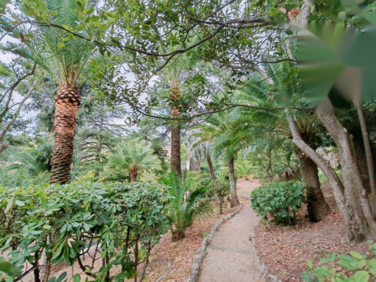 Квартира в Каннах, Франция, 106 м² - фото 4