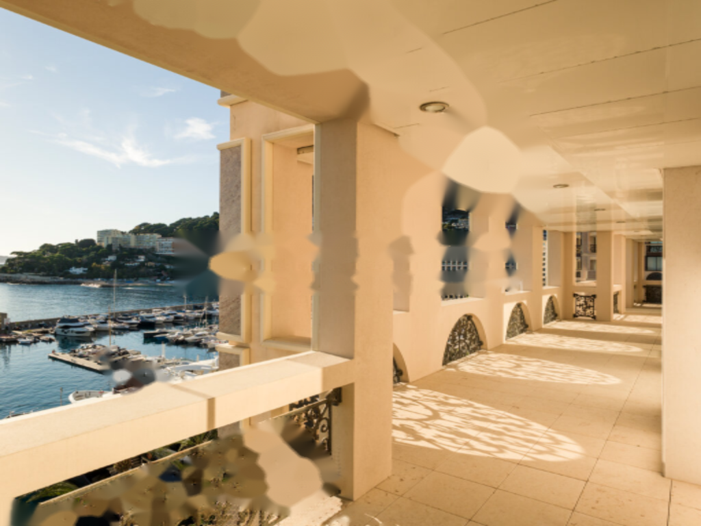 Квартира в Фонвьее, Монако, 700 м² - фото 4