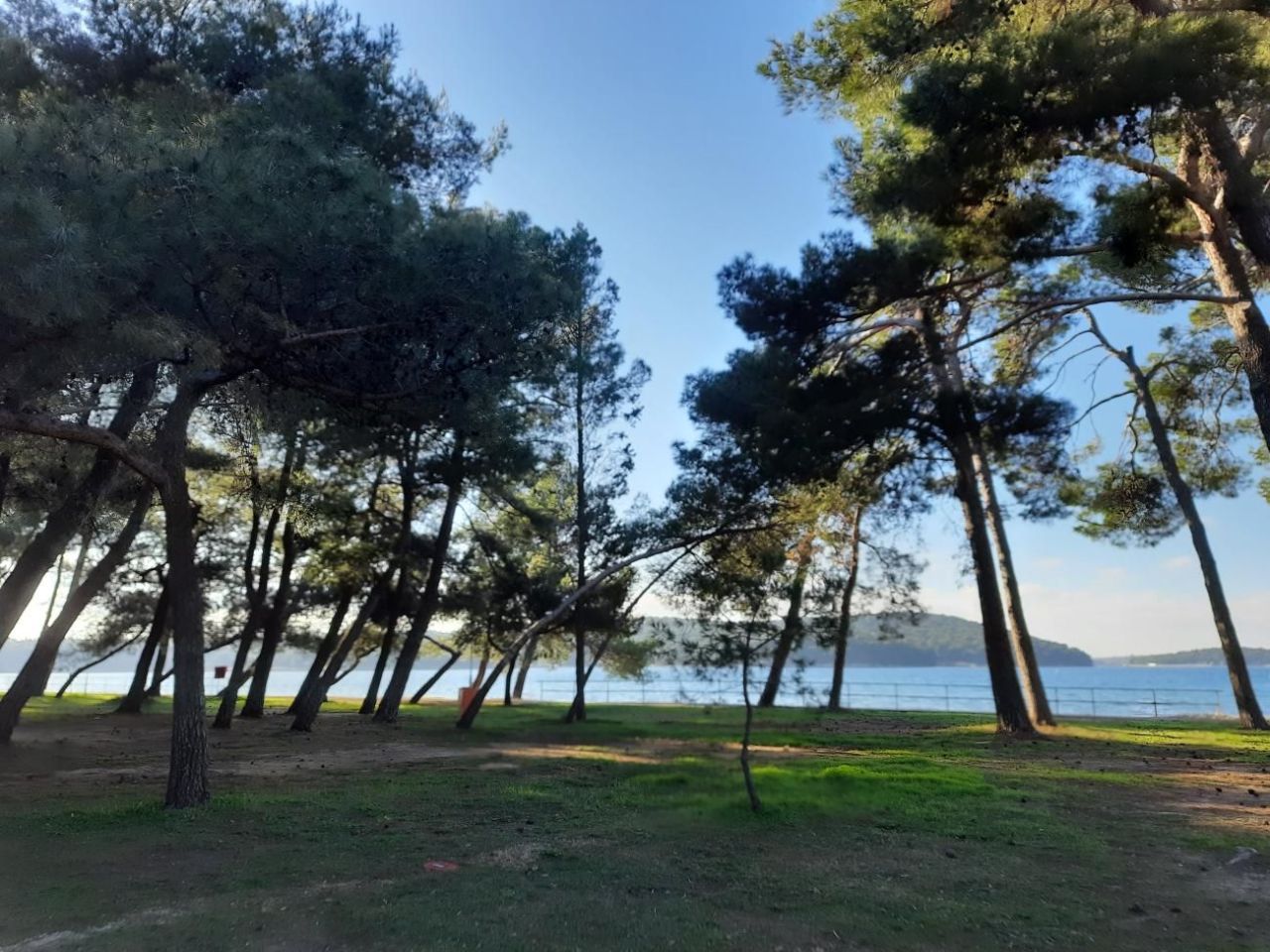 Вилла в Медулине, Хорватия, 300 м² - фото 13