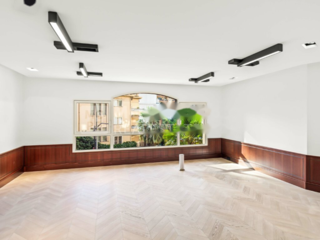 Квартира в Сен-Романе, Монако, 273 м² - фото 5