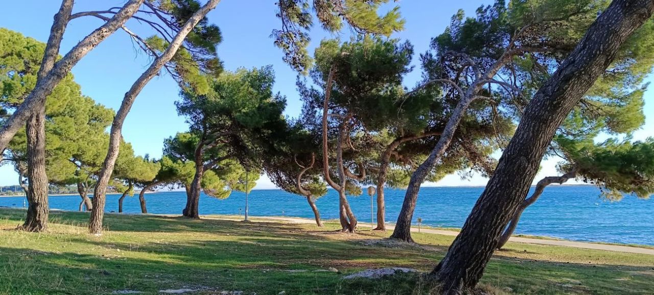 Вилла в Медулине, Хорватия, 250 м² - фото 18