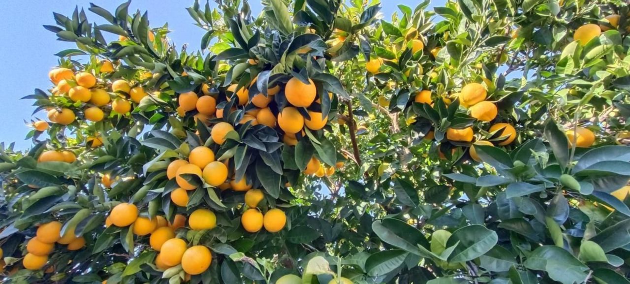 Вилла в Медулине, Хорватия, 250 м² - фото 19