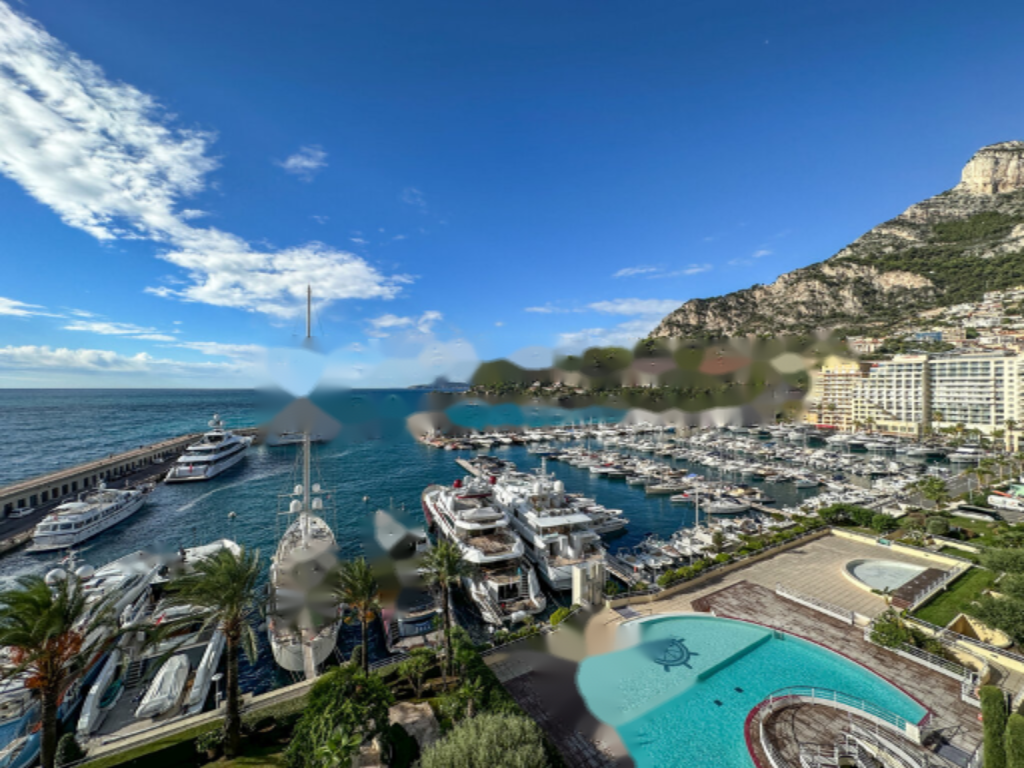 Квартира в Фонвьее, Монако, 750 м² - фото 8