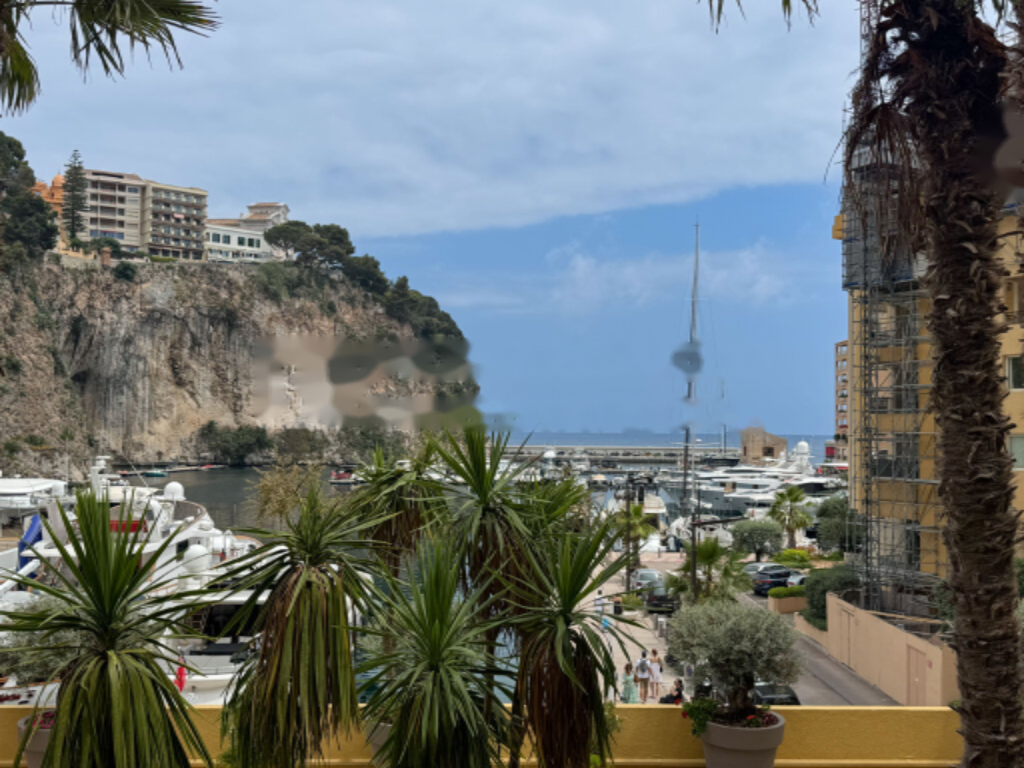 Квартира в Фонвьее, Монако, 241 м² - фото 9