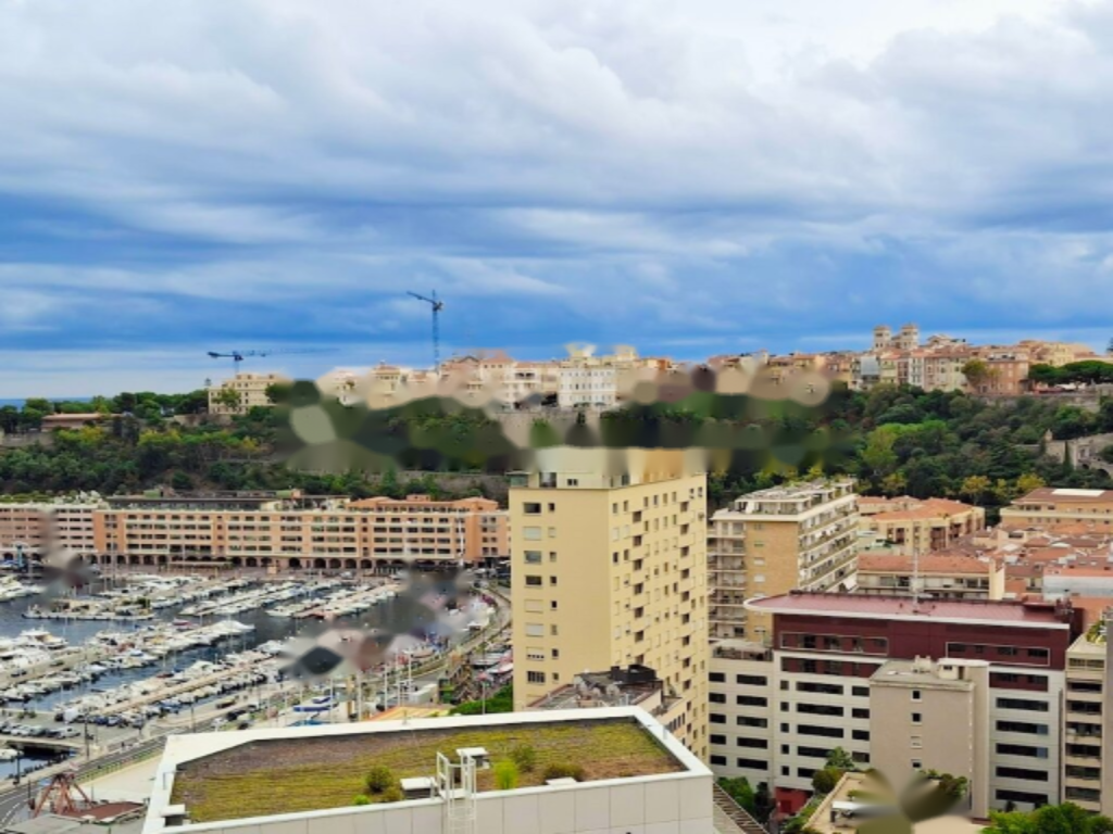 Квартира в Ла-Кондамине, Монако - фото 9