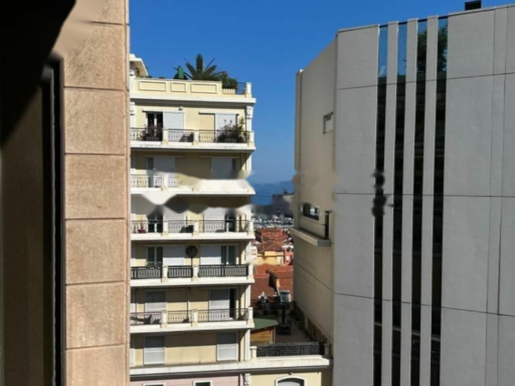 Квартира в Ла-Кондамине, Монако, 79 м² - фото 11