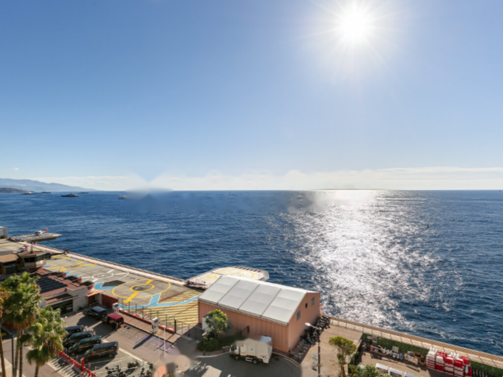 Квартира в Фонвьее, Монако, 469 м² - фото 12