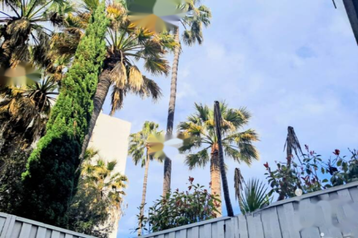 Квартира в Каннах, Франция, 55 м² - фото 3