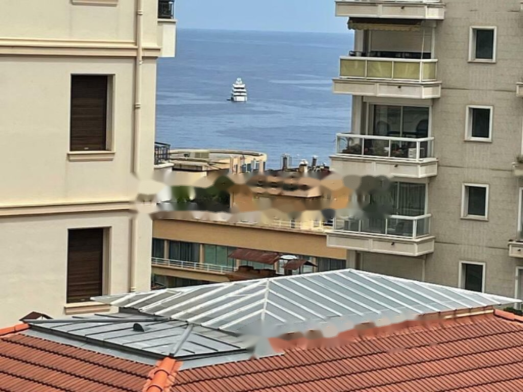 Квартира в Сен-Романе, Монако, 291 м² - фото 17