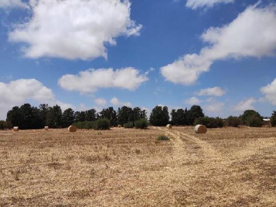 Земля в Пафосе, Кипр, 7 024 м² - фото 7