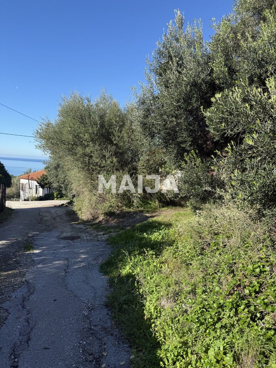 Земля Kastrosikia, Греция, 800 м² - фото 12