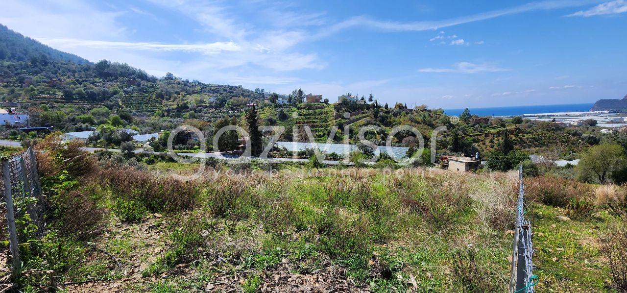 Земля в Газипаше, Турция, 1 600 м² - фото 2