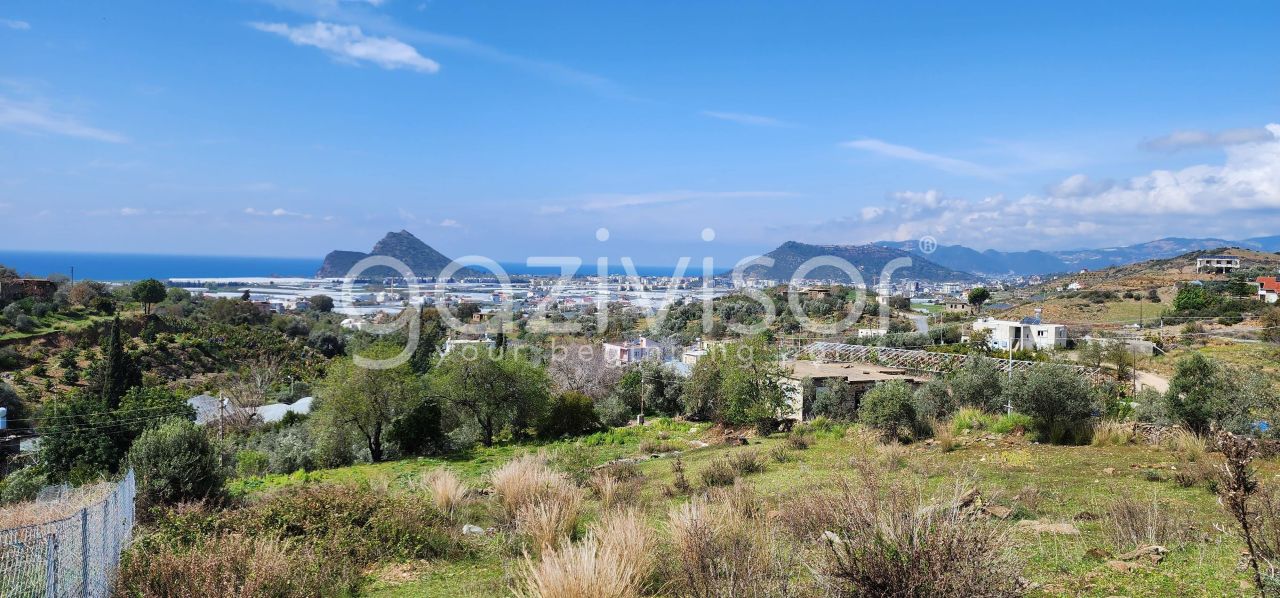 Земля в Газипаше, Турция, 1 600 м² - фото 6