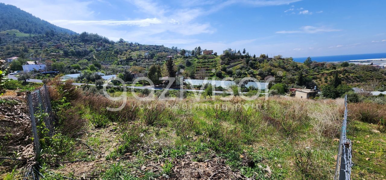 Земля в Газипаше, Турция, 1 600 м² - фото 5