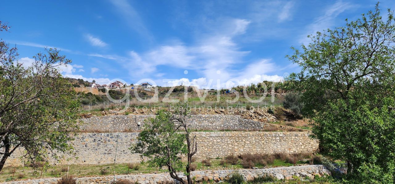 Земля в Газипаше, Турция, 1 600 м² - фото 8