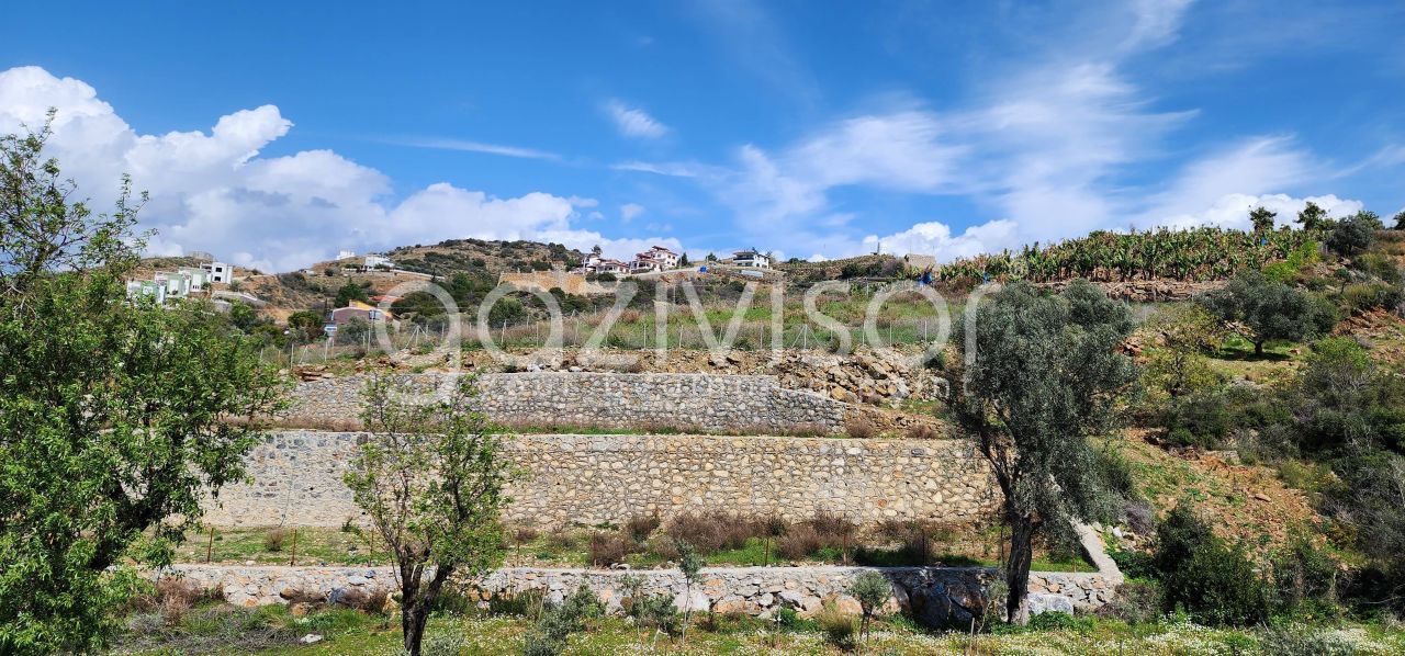 Земля в Газипаше, Турция, 1 600 м² - фото 9