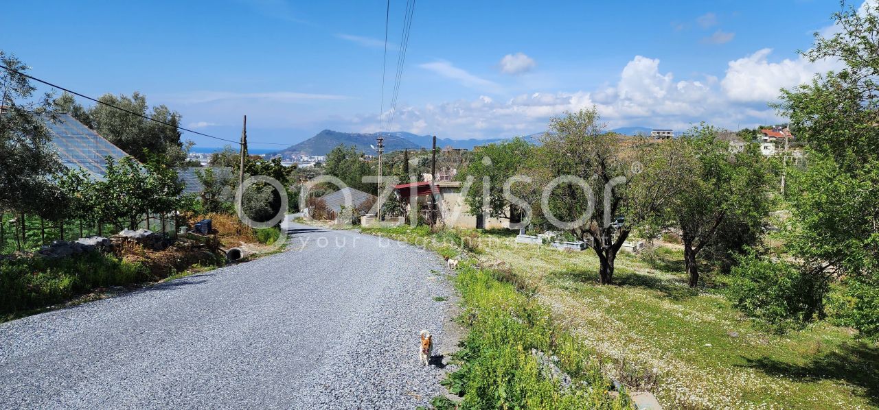 Земля в Газипаше, Турция, 1 600 м² - фото 10