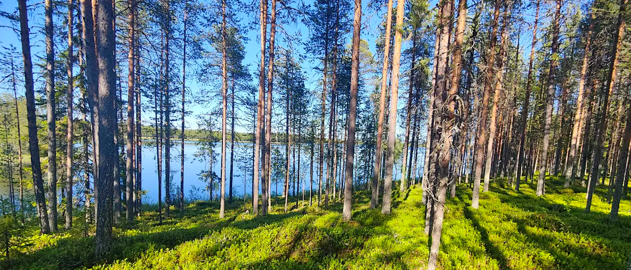 Земля в Рованиеми, Финляндия, 3 800 м² - фото 2