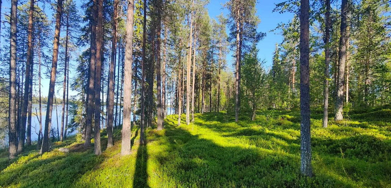 Земля в Рованиеми, Финляндия, 1.5 Га - фото 4