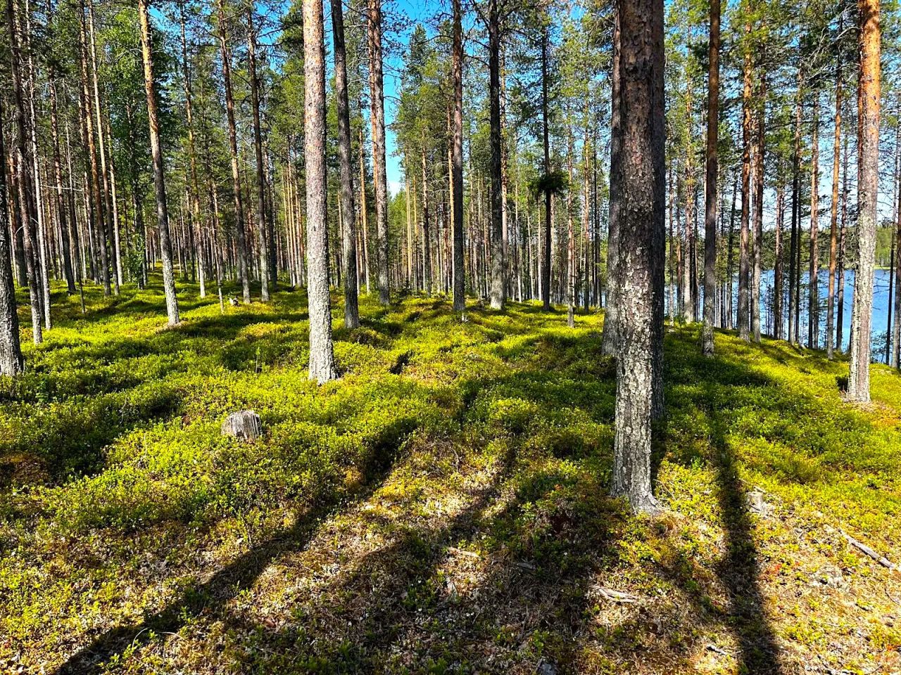 Земля в Рованиеми, Финляндия, 1.5 Га - фото 3