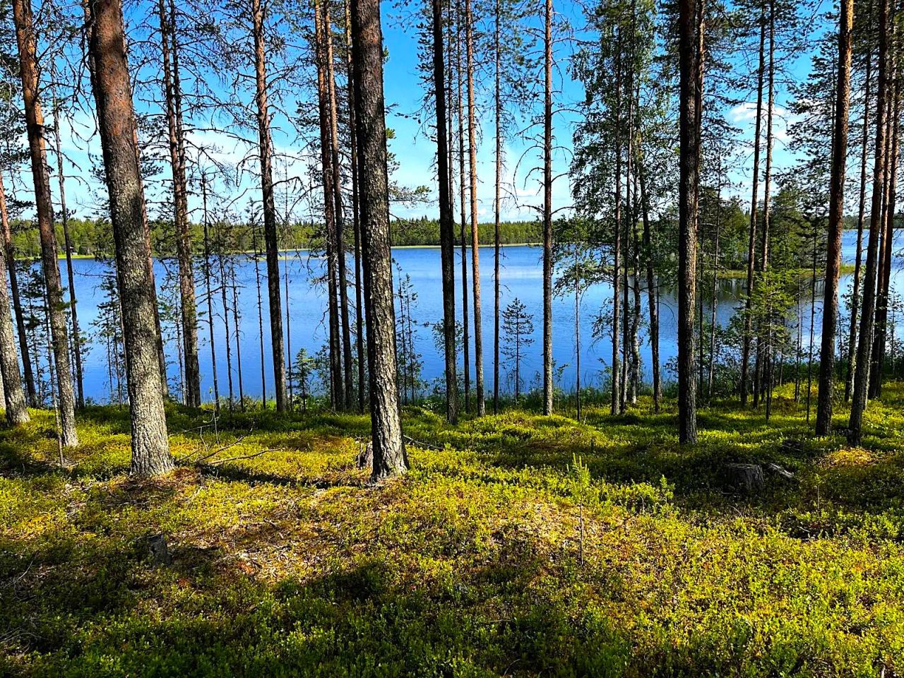 Земля в Рованиеми, Финляндия, 1.85 Га - фото 4