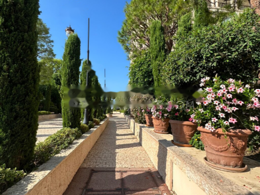 Квартира в Фонвьее, Монако, 750 м² - фото 1