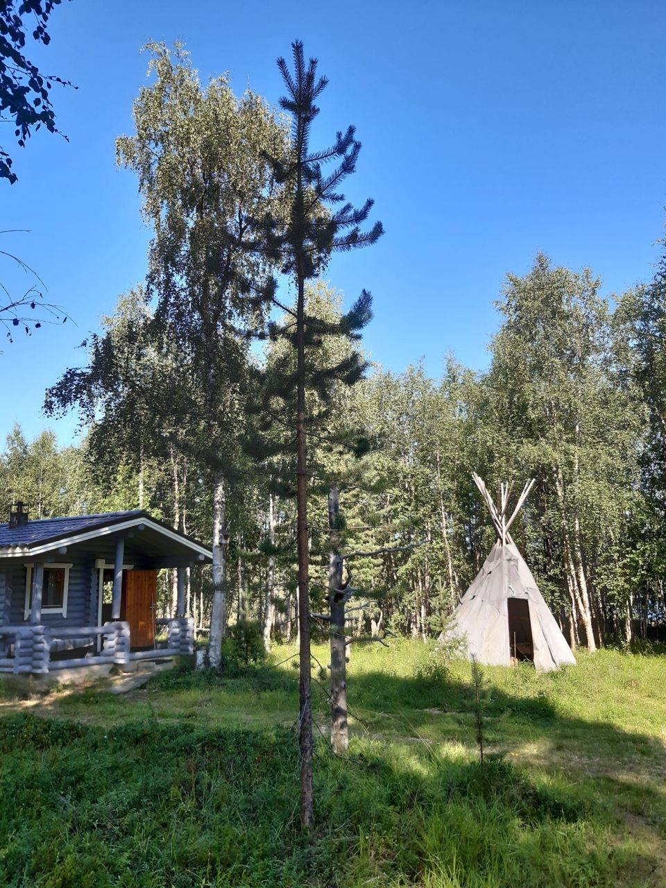 Земля в Ивало, Финляндия, 7.7 Га - фото 3