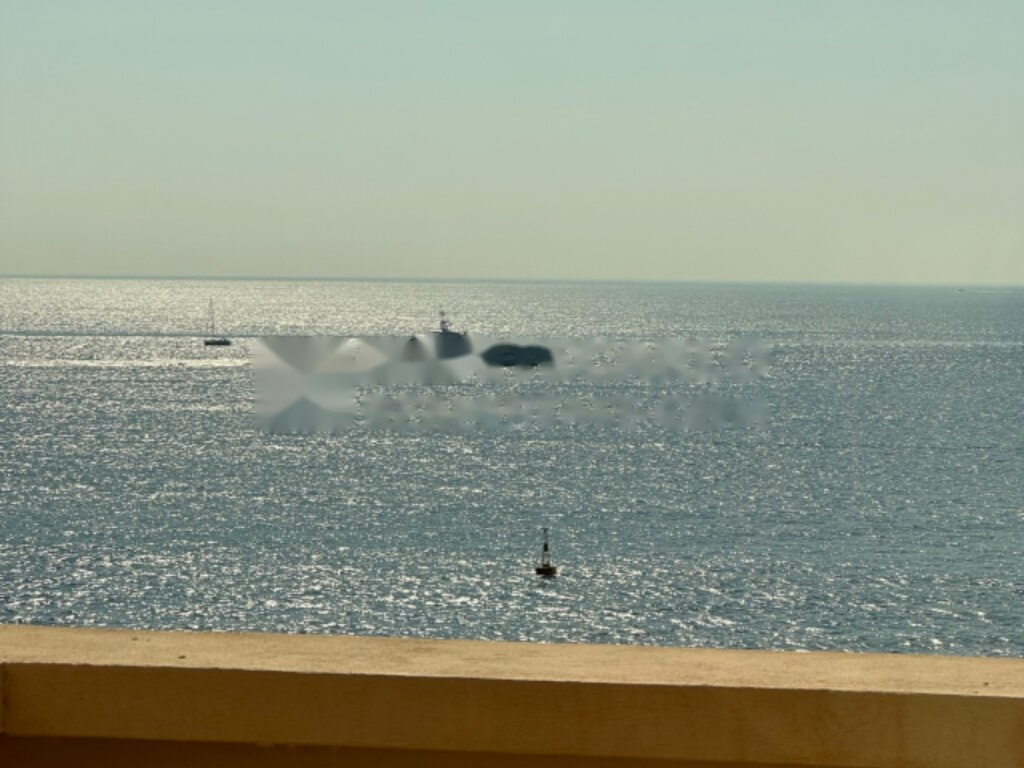 Квартира в Фонвьее, Монако, 750 м² - фото 6