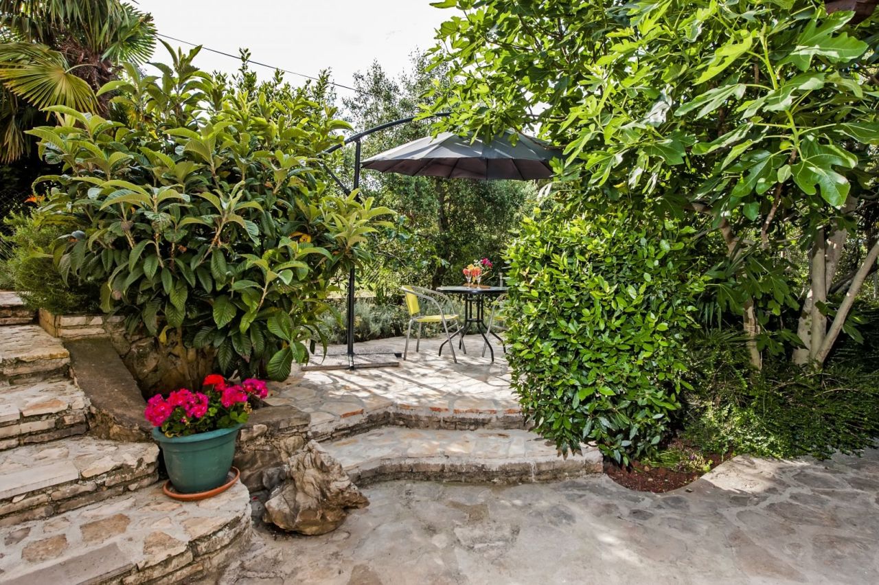 Отель, гостиница в Ровини, Хорватия, 360 м² - фото 1