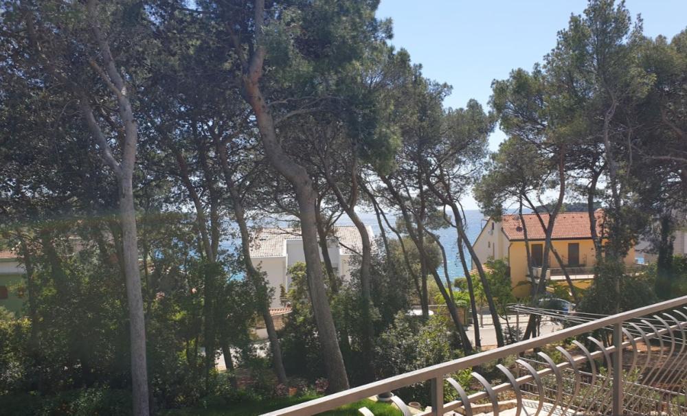 Отель, гостиница в Ровини, Хорватия, 650 м² - фото 1