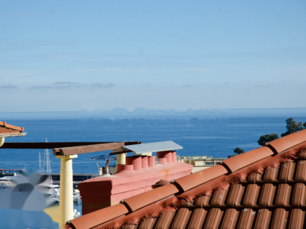 Квартира в Монегетти, Монако, 244 м² - фото 10