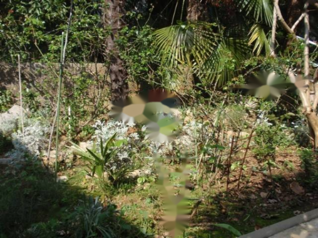 Дом в Опатии, Хорватия, 288 м² - фото 12