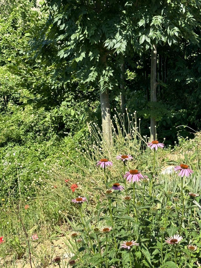 Отель, гостиница Fužine, Хорватия, 1 200 м² - фото 8