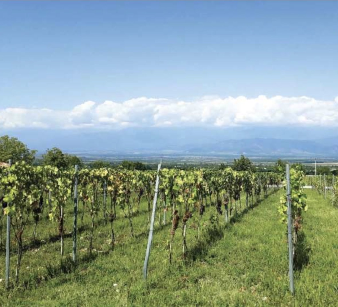 Таунхаус в Телави, Грузия, 275 м² - фото 11