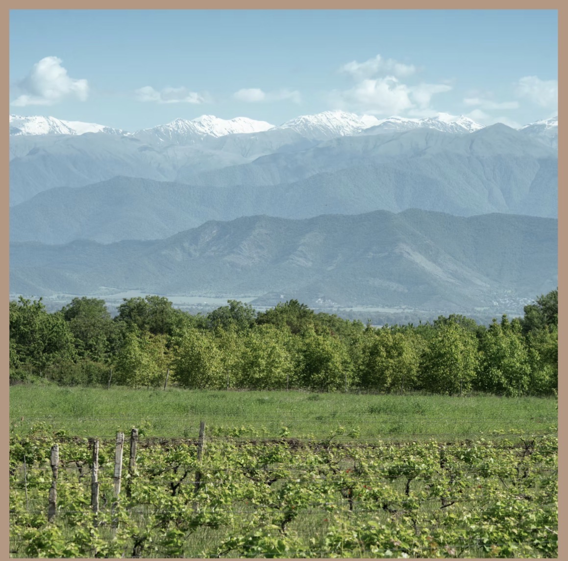 Таунхаус в Телави, Грузия, 275 м² - фото 12