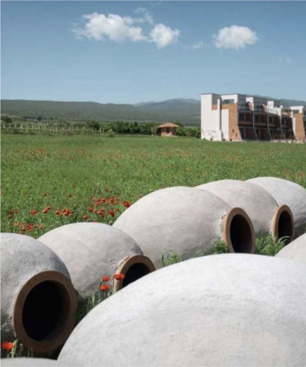 Таунхаус в Телави, Грузия, 275 м² - фото 10