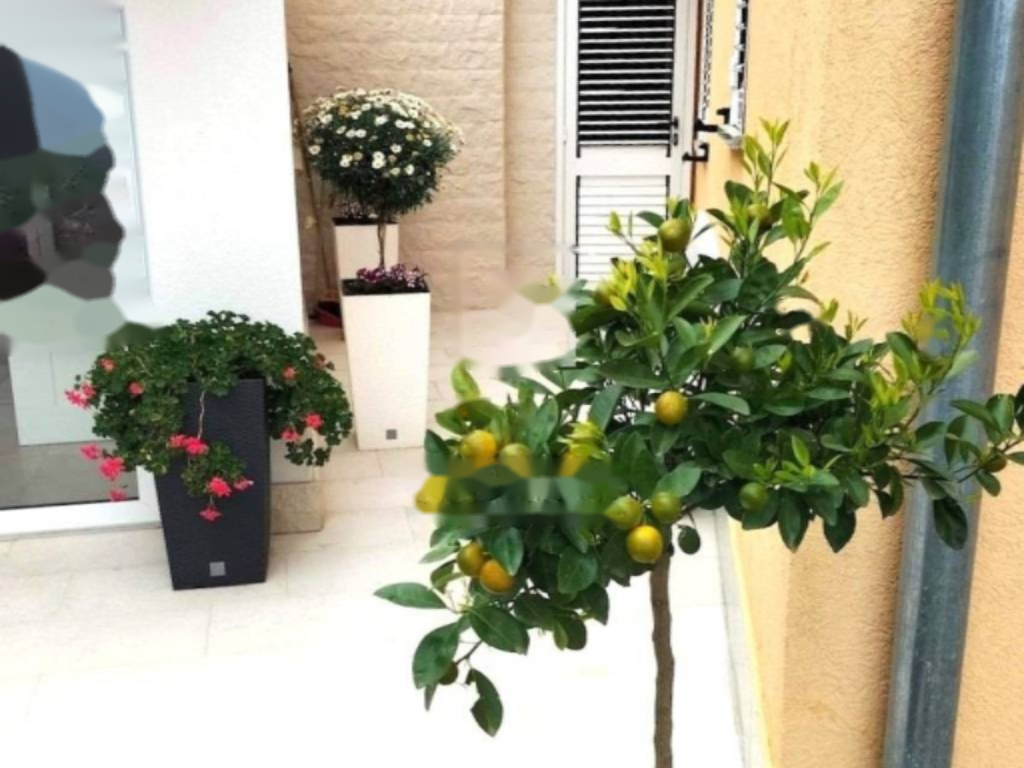 Квартира в Опатии, Хорватия, 29 м² - фото 6