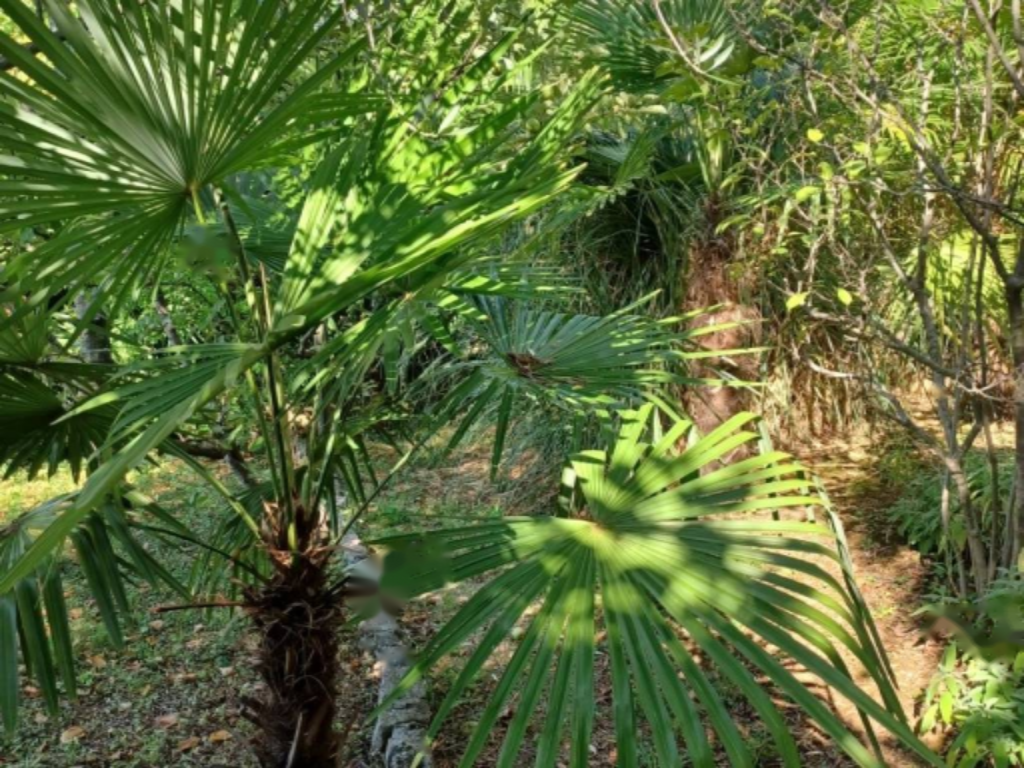 Квартира в Опатии, Хорватия, 107 м² - фото 10