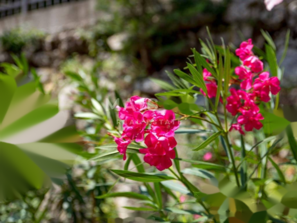 Дом в Опатии, Хорватия, 270 м² - фото 11