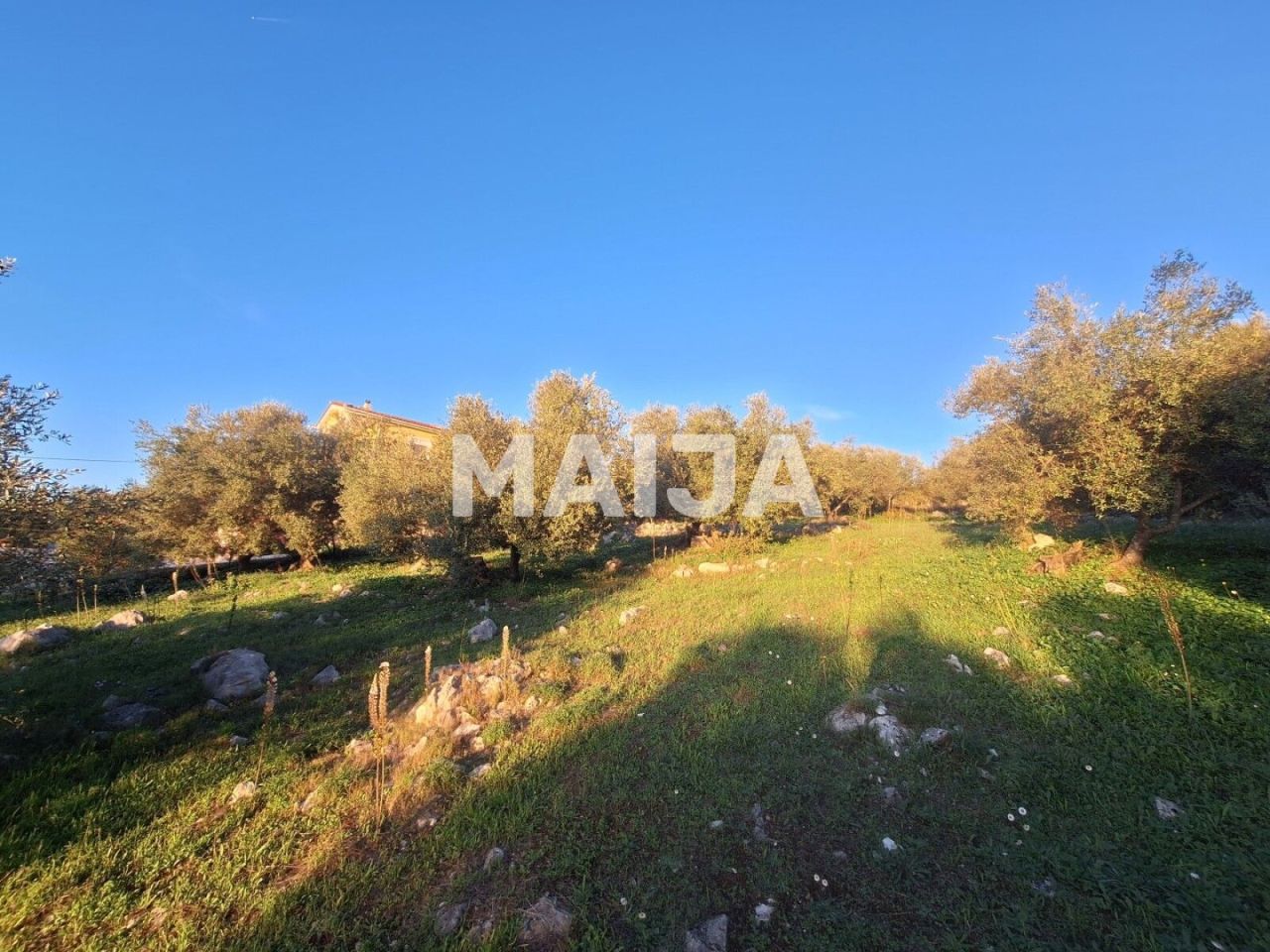 Земля на Корфу, Греция, 2 469 м² - фото 3