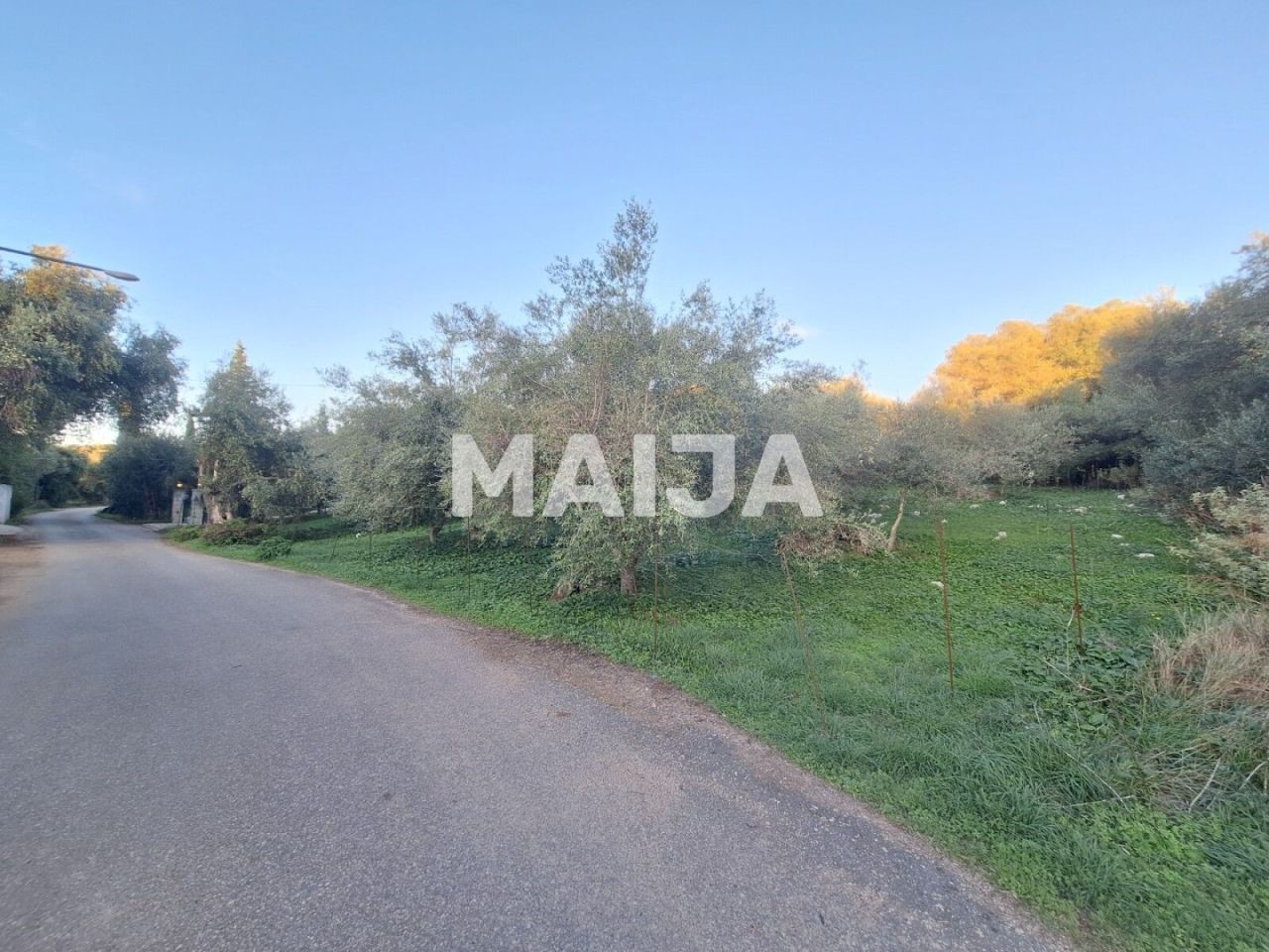 Земля на Корфу, Греция, 2 469 м² - фото 6