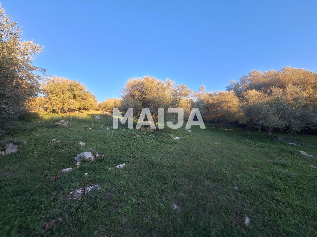 Земля на Корфу, Греция, 2 469 м² - фото 10