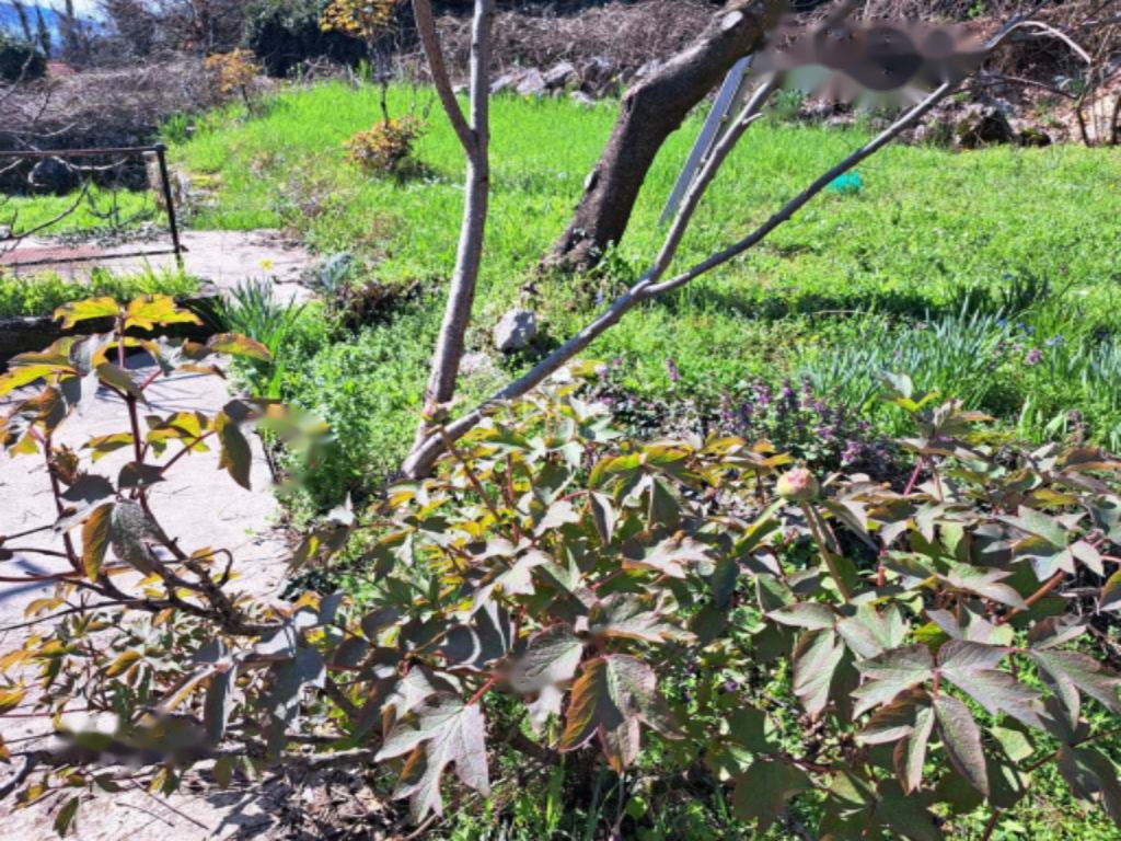 Дом в Опатии, Хорватия, 146 м² - фото 3