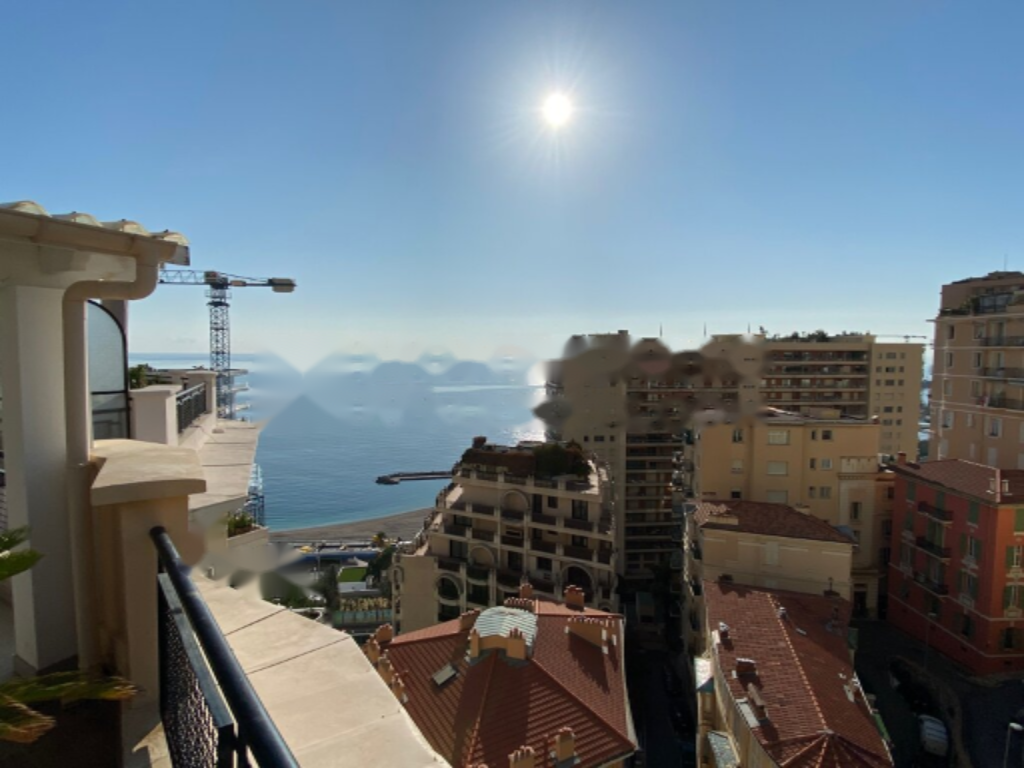 Квартира в Сен-Романе, Монако, 210 м² - фото 3