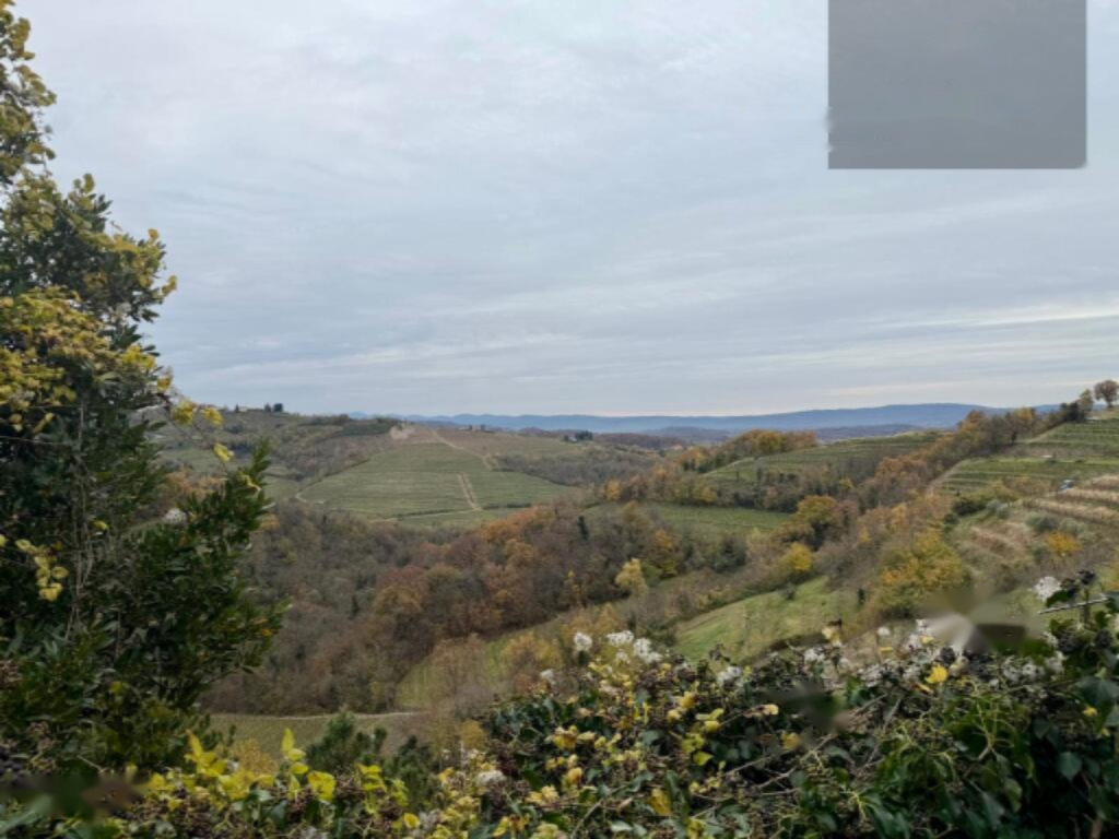 Дом в Нова-Горице, Словения, 109 м² - фото 8