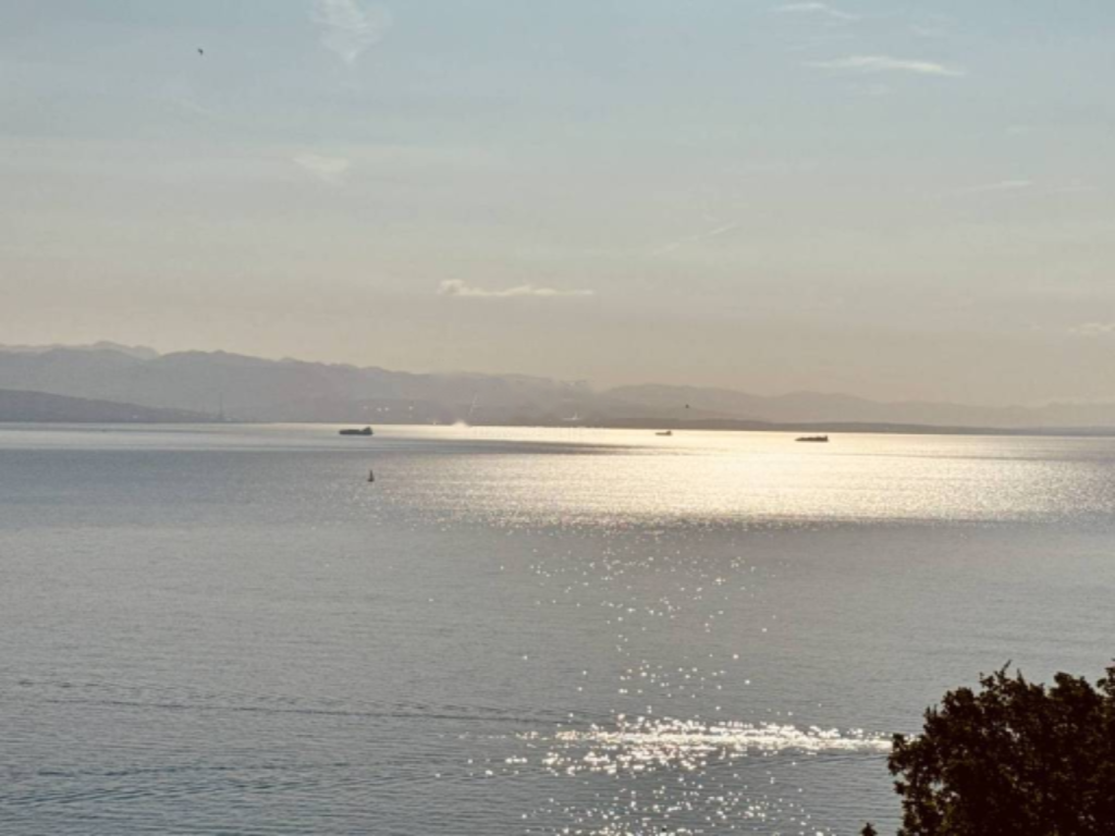 Квартира в Опатии, Хорватия, 224 м² - фото 18