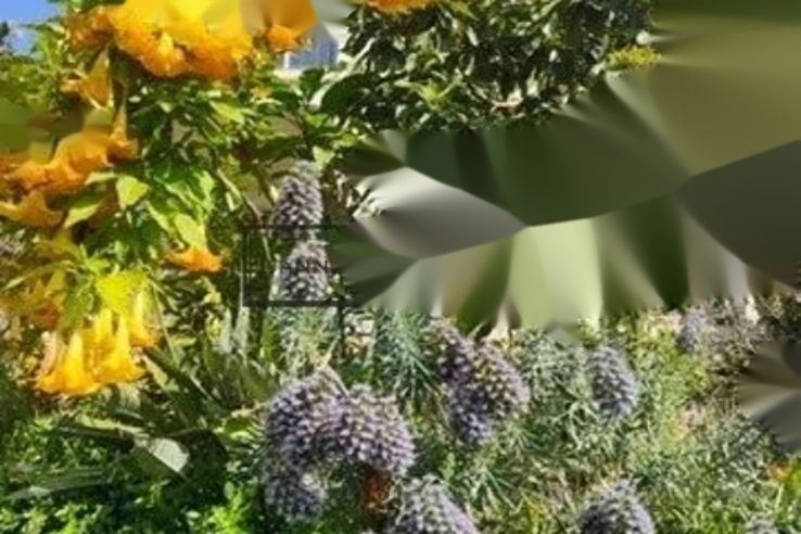 Квартира в Каннах, Франция, 226 м² - фото 7