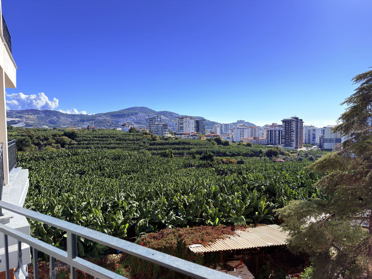 Квартира в Алании, Турция, 80 м² - фото 16