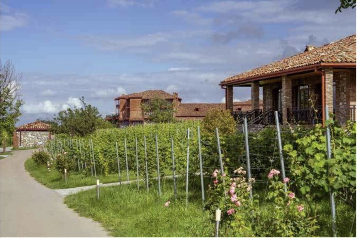 Вилла в Телави, Грузия, 208 м² - фото 10